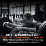 BEINGFIT ディッピングベルト チンニング ディップス 荷重ベルト チェーン付き スクワット 男女兼用 正規品
